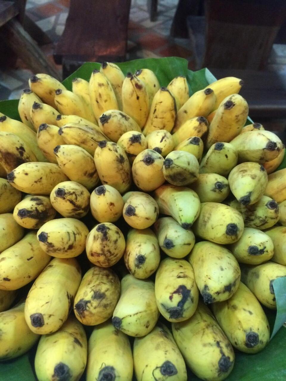 Baan Suan Chan كانتْشانابوري المظهر الخارجي الصورة